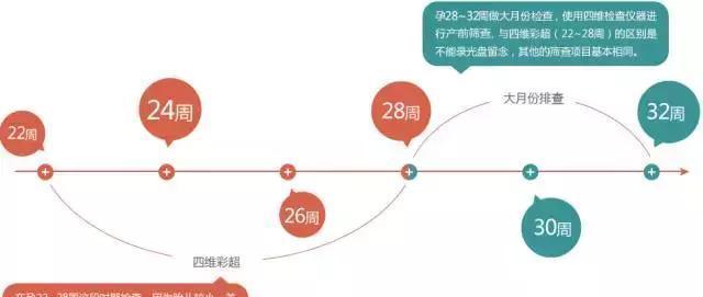 揭秘时间流转的秘密，24周究竟等于几个月？