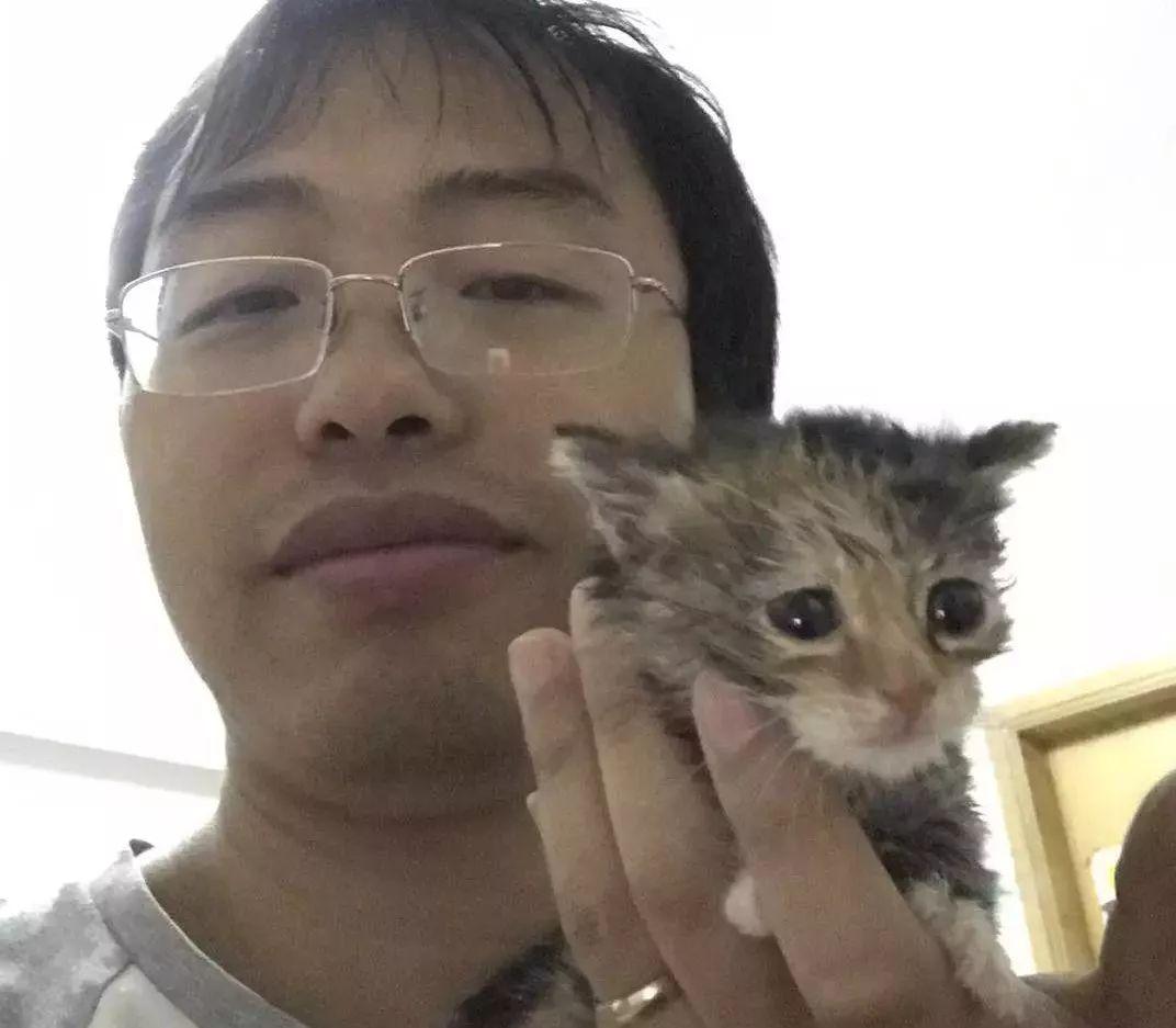 一个月的奶猫养护指南，新手养猫必修课