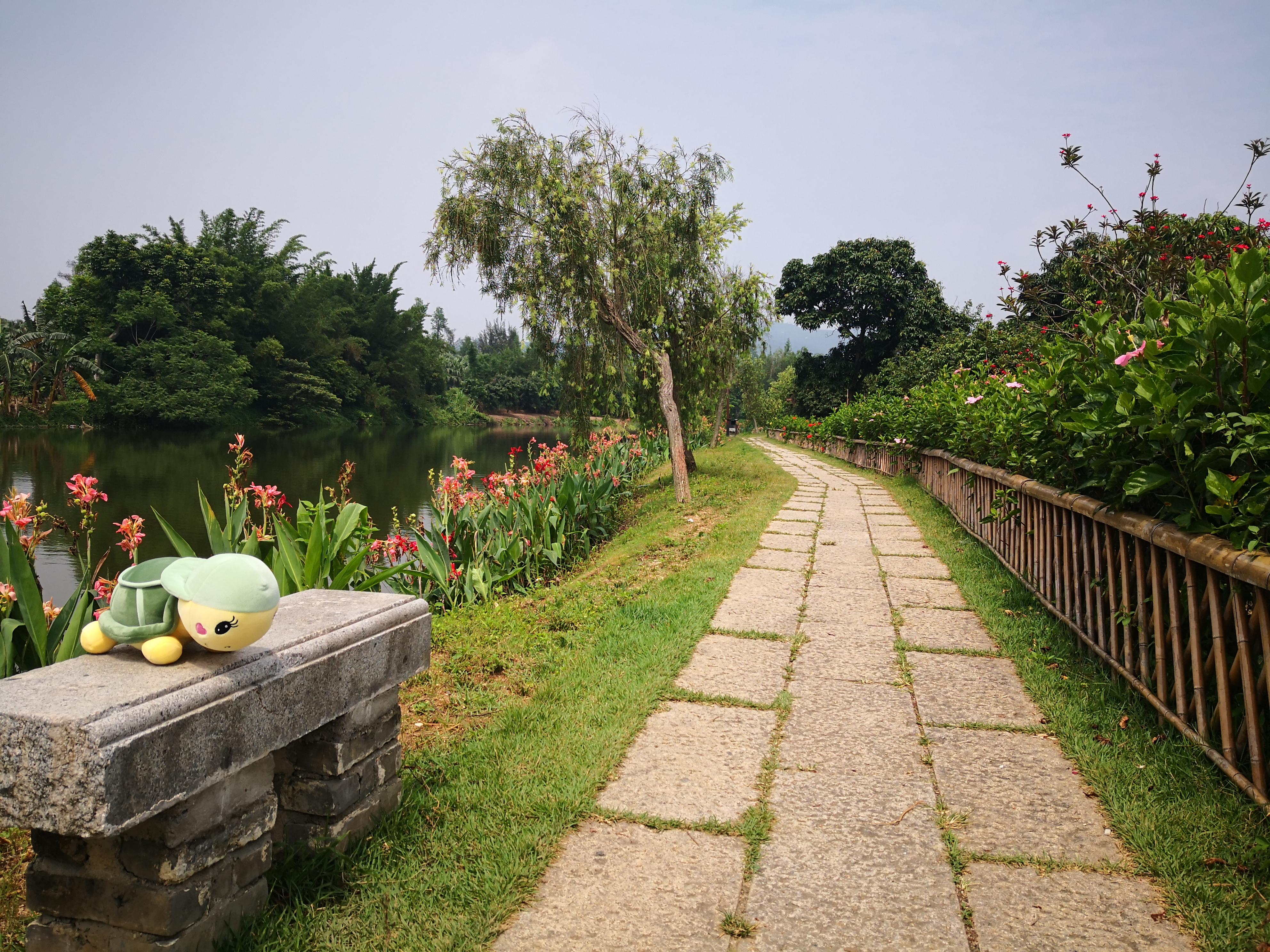 广东省游玩景点，探索南国风情的多彩之旅